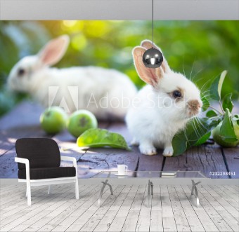 Picture of Rabbit and Apple